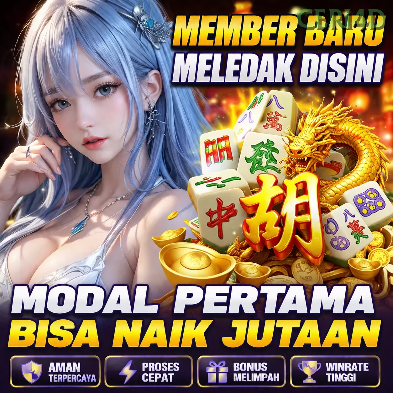 Kasino Live icon